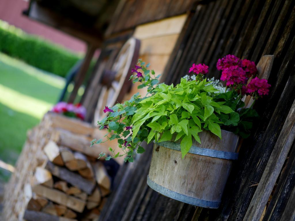 Apparthotel Ederfeld Mayrhofen Esterno foto